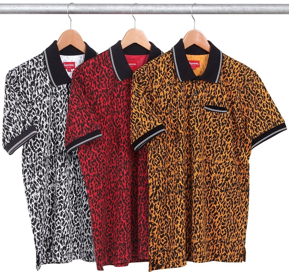 Leopard Polo
